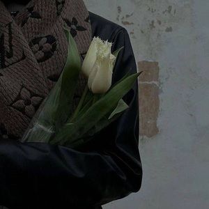 Meet your Posher, Raneem